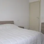 Sun Apartment